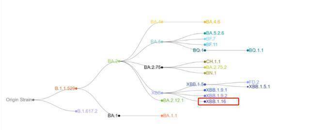 安装淘新闻苹果版
:新毒王？新冠新种株XBB.1.16全球多国肆虐，我国也已出现丨看天下