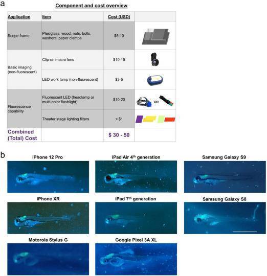 最新手机:国际最新研发出一低成本装置 可将智能手机转化成荧光显微镜-第1张图片-太平洋在线下载