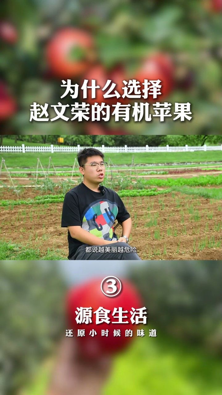 苹果的故事男版一个苹果的故事简短版-第2张图片-太平洋在线下载