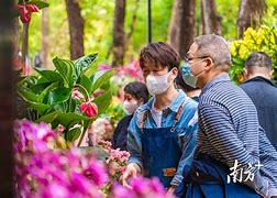 购易花苹果版普融花苹果版下载