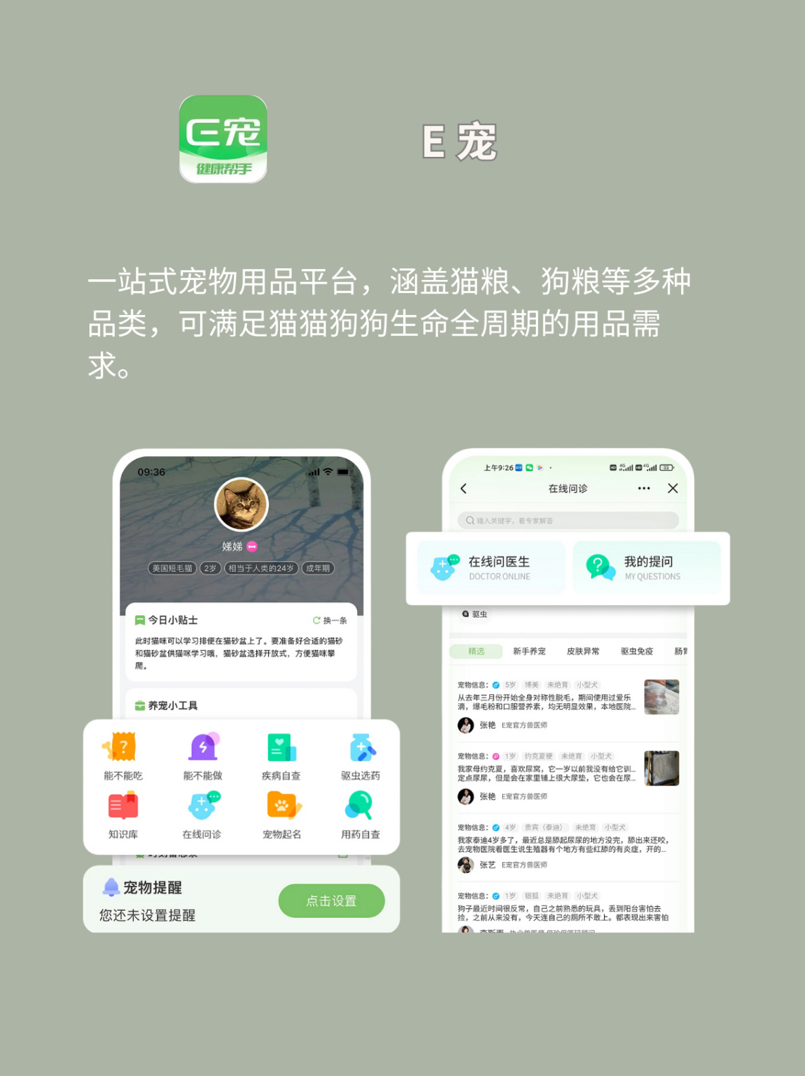 苹果版养宠物苹果的灵动岛怎么养宠物-第2张图片-太平洋在线下载