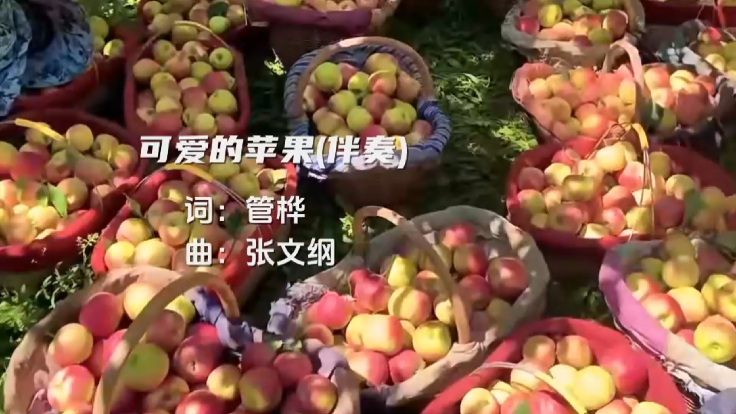 苹果(伴奏版)小强苹果香韩小欠伴奏在线听-第2张图片-太平洋在线下载
