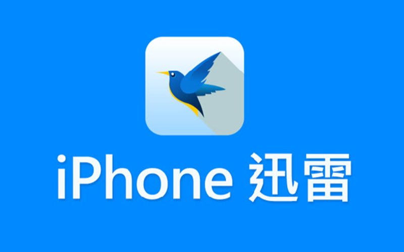 迅雷下载手机版安卓的简单介绍
